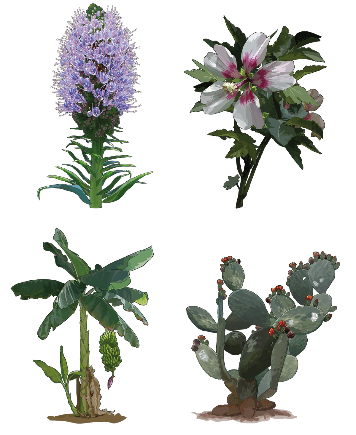 Ilustración de TSP flora variada